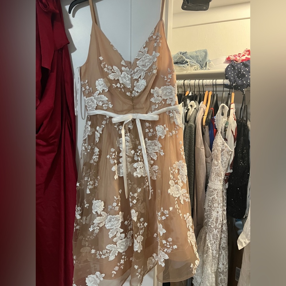 White and Nude Lace Calvin Klein Dress